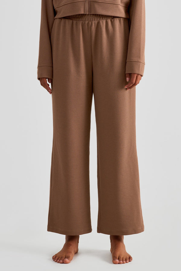 Color_Camel